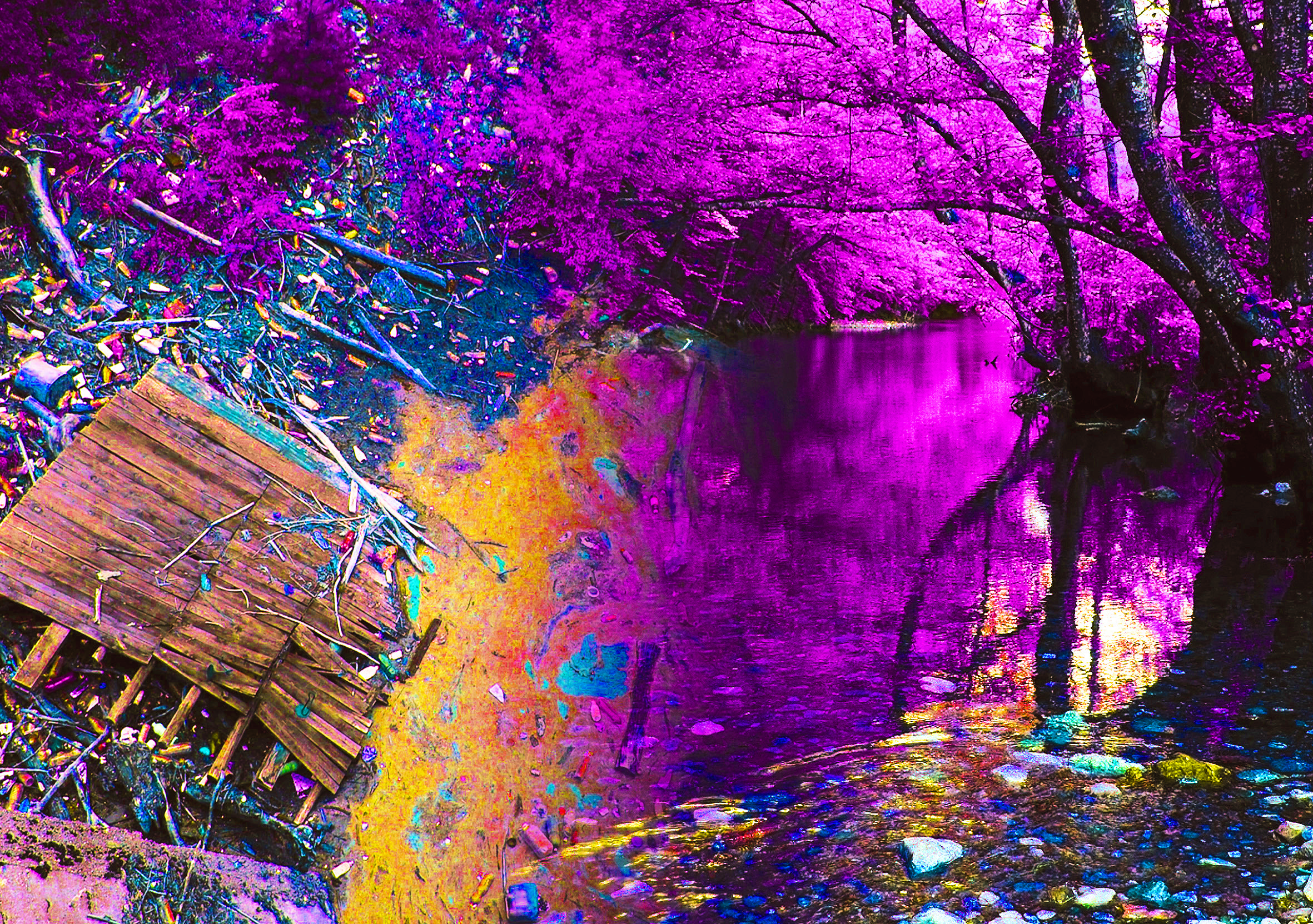Uroš na Đetinji 20181 CMYK prerađena